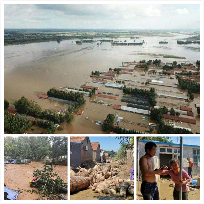 �ǹ��ɶԹ���-׷�󿵽�,����һ������